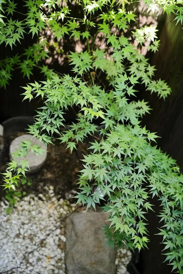 فيلا 弎京匯（Sankyokai） كيوتو